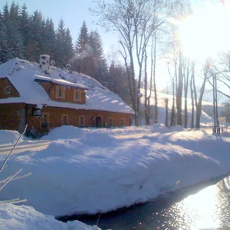 U Jiriho Guest house *